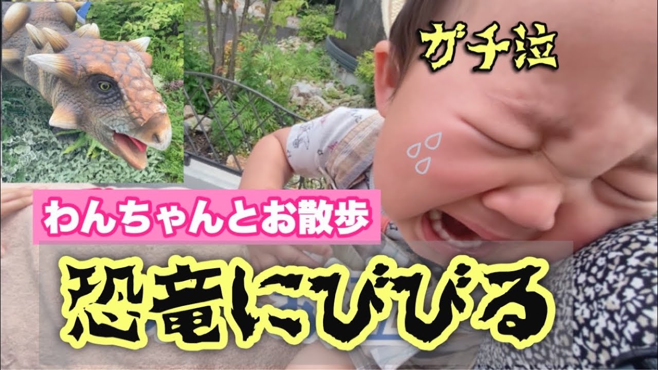 【わんわん動物園】ワン子とお散歩、恐竜にガチ泣きの1歳児えいちゃん