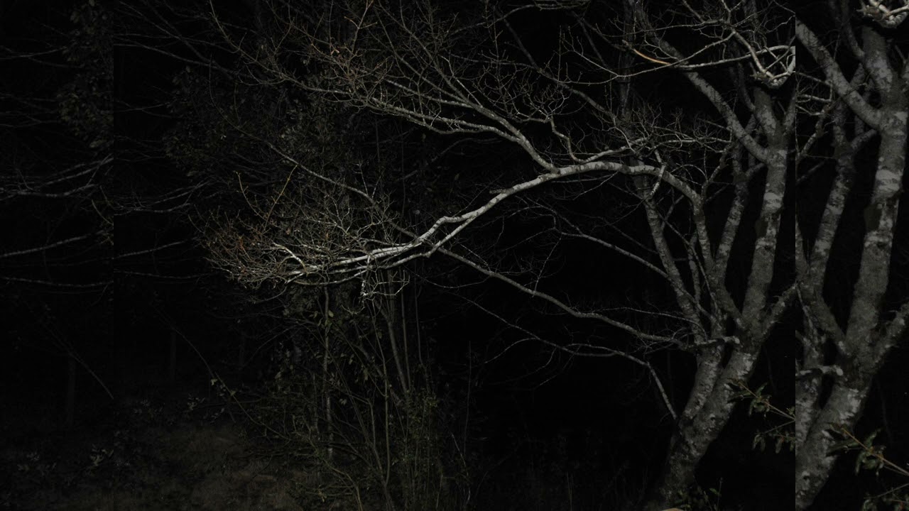 scars - Novulent - ( Slowed ) -