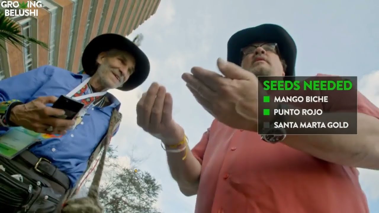 Seeds, Shots & a Shocking End! | Growing Belushi | 4K