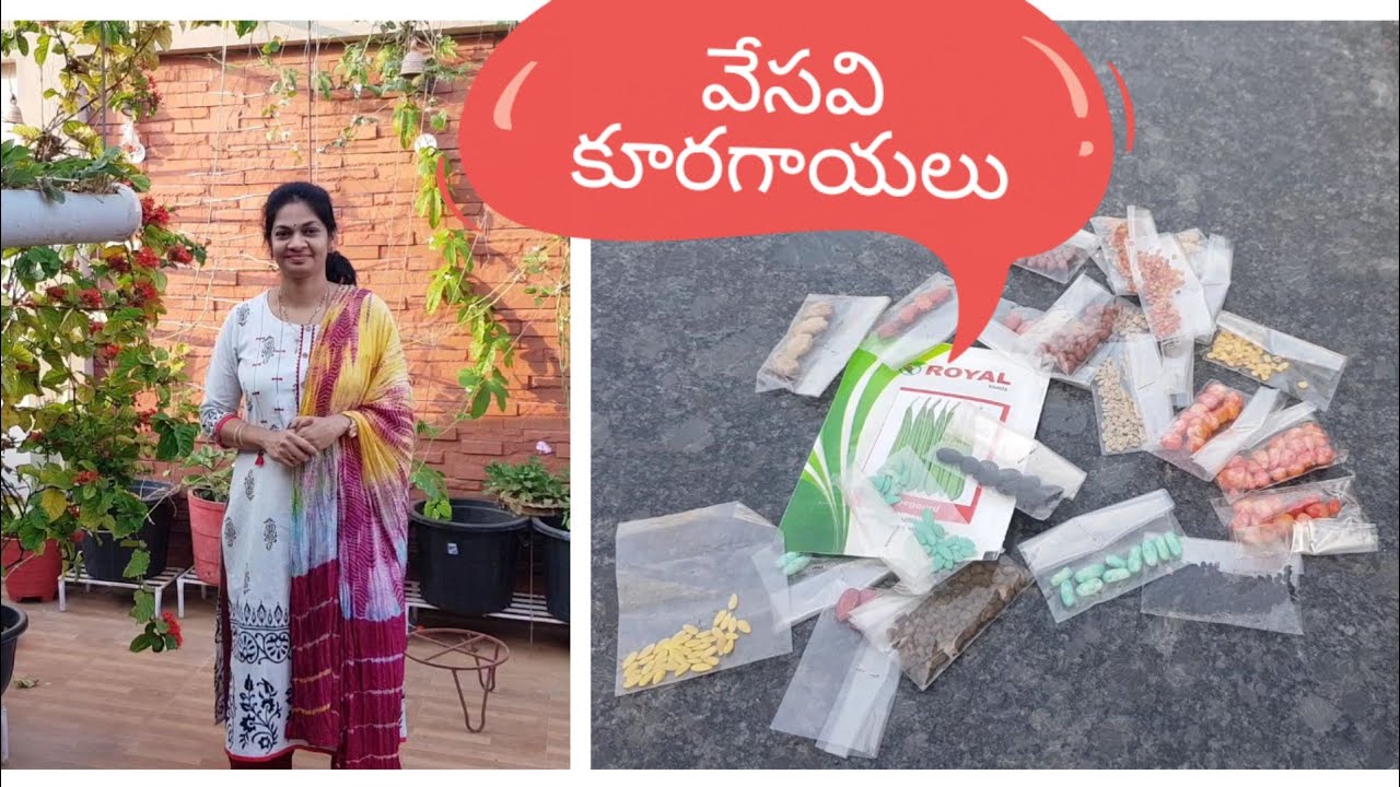 వేసవిలో పెంచుకునే కూరగాయలు../ summer vegetables  to grow.#summervegetables #seeds