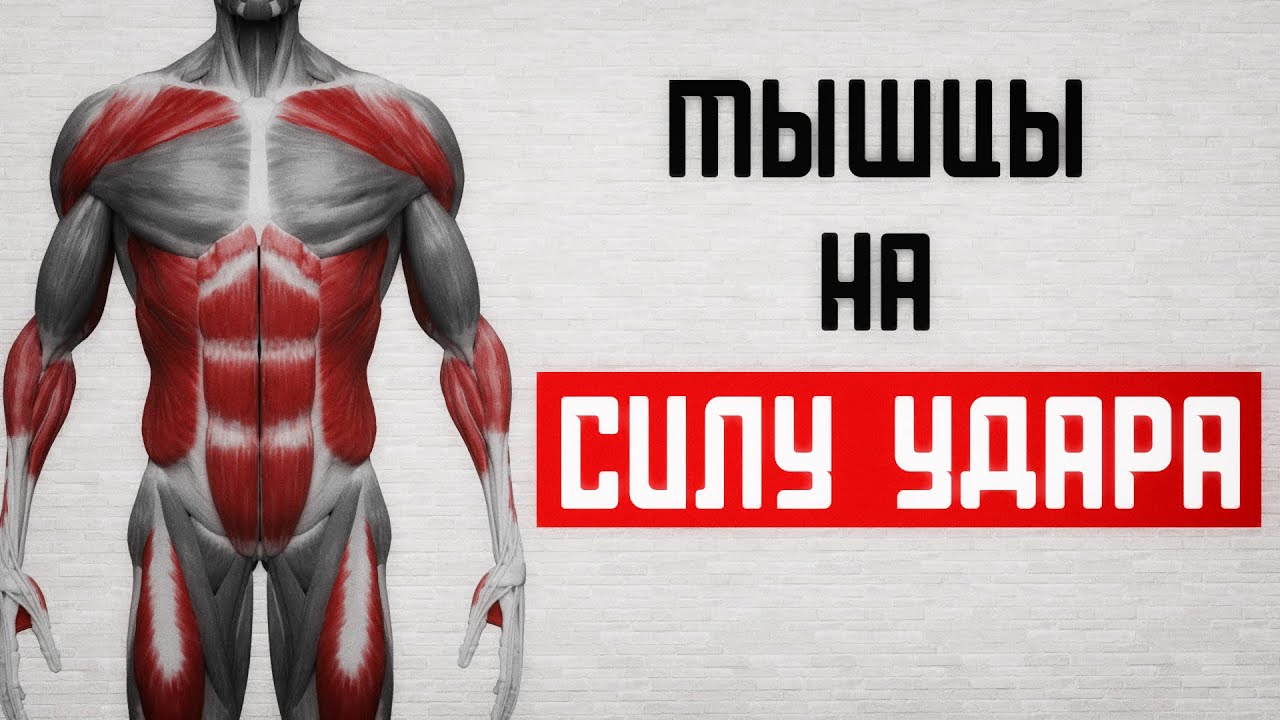 От чего зависит сила удара! Как тренировать силу удара!