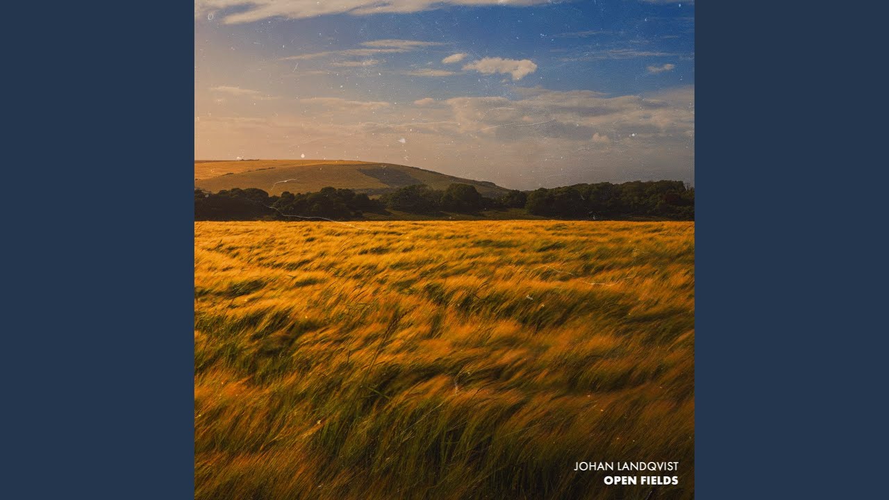 Open Fields