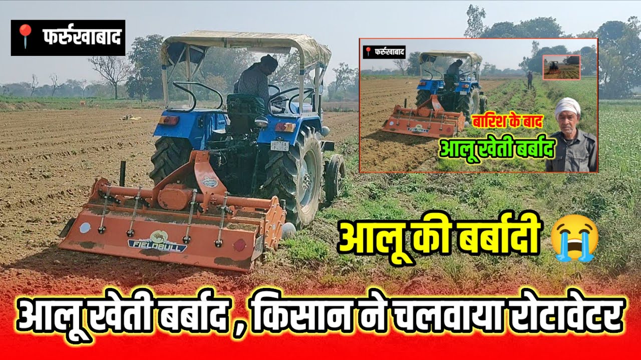 साल बदला, लेकिन नहीं बदली किसान की किस्मत! 🚜😭|| आलू फसल पूरी बर्बाद || #फर्रुखाबाद 