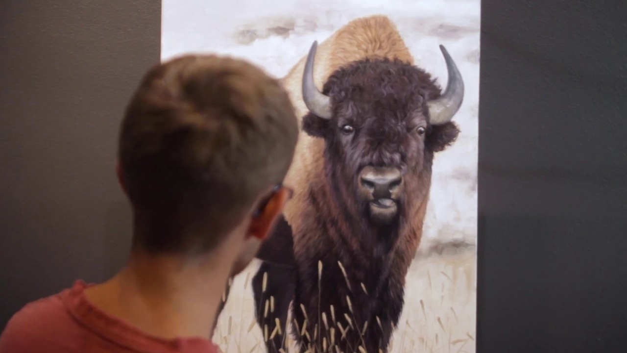 Painting a Yellowstone Bison