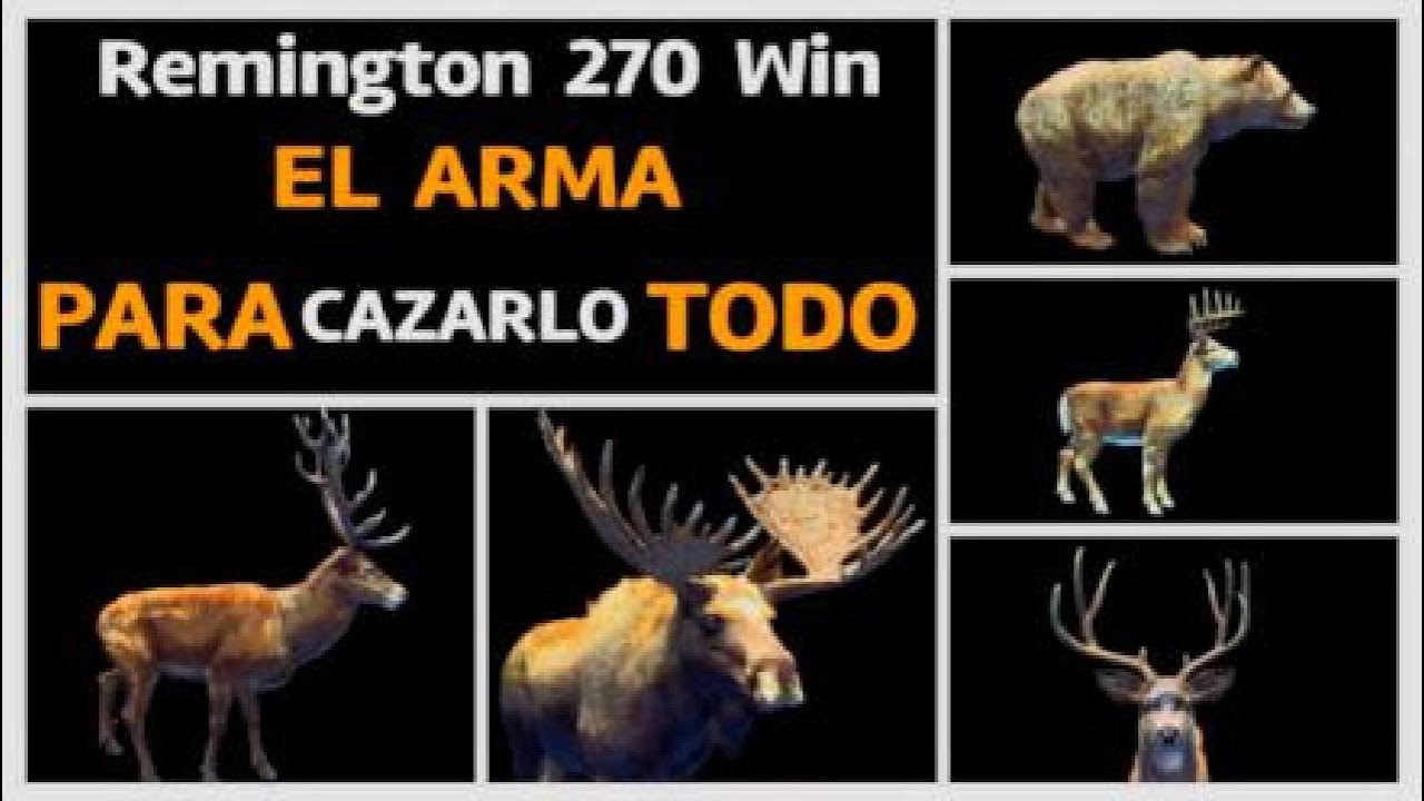 EL UNICO RIFLE que NECESITAS,Remington 270 Win,La MEJOR ARMA de Way of the hunter