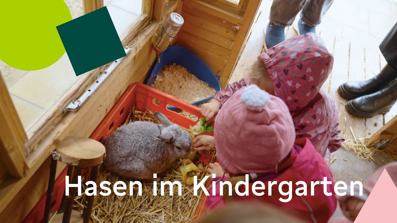 Hasen im Kindergarten Wunderkind | Tierisch Fröbel!