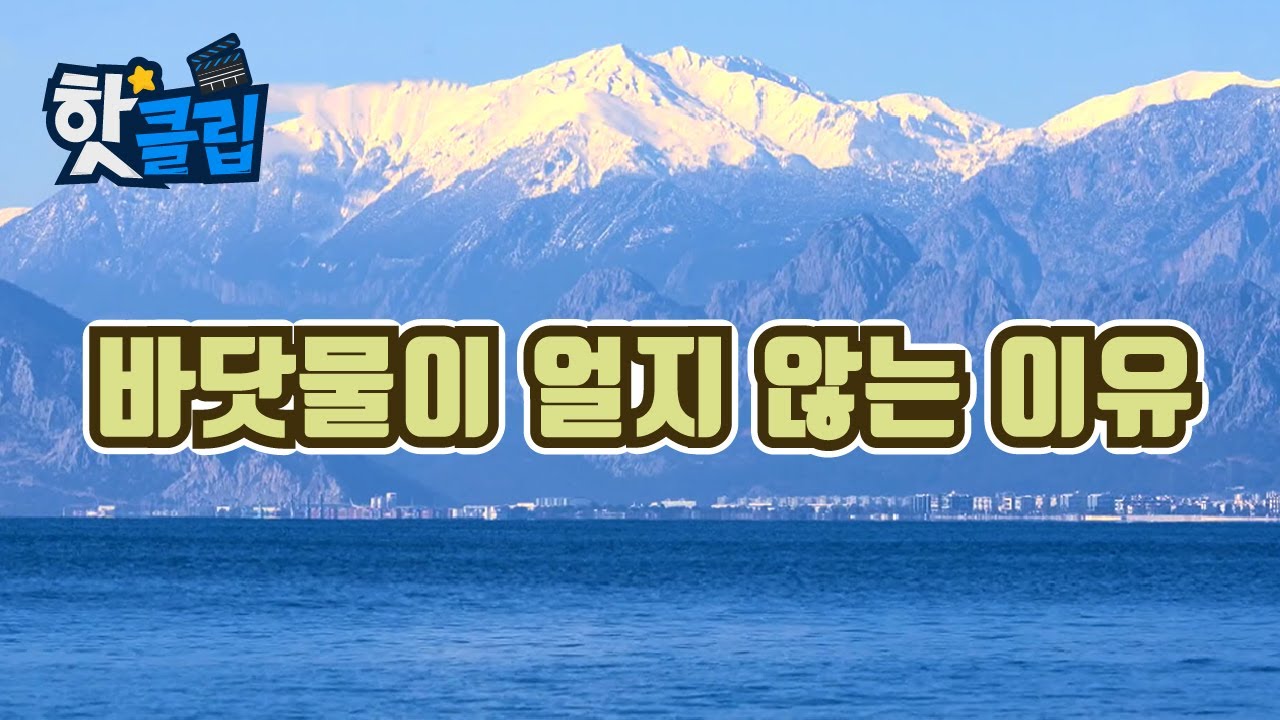 바닷물은 왜 잘 얼지 않을까? [핫클립] / YTN 사이언스