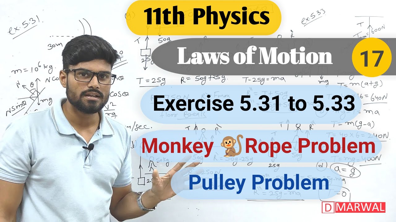 Exercise 5.31 to 5.33 | Monkey 🐒 Rope Problem | Pulley Problem | Laws of Motion | Class 11 Physics