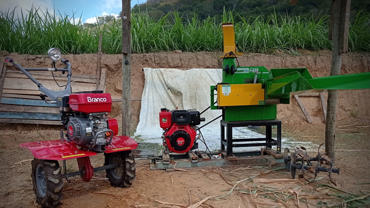 Minha opinião a respeito da ensiladeira trapp Es 650 e motor a disel Branco 10 cv.
