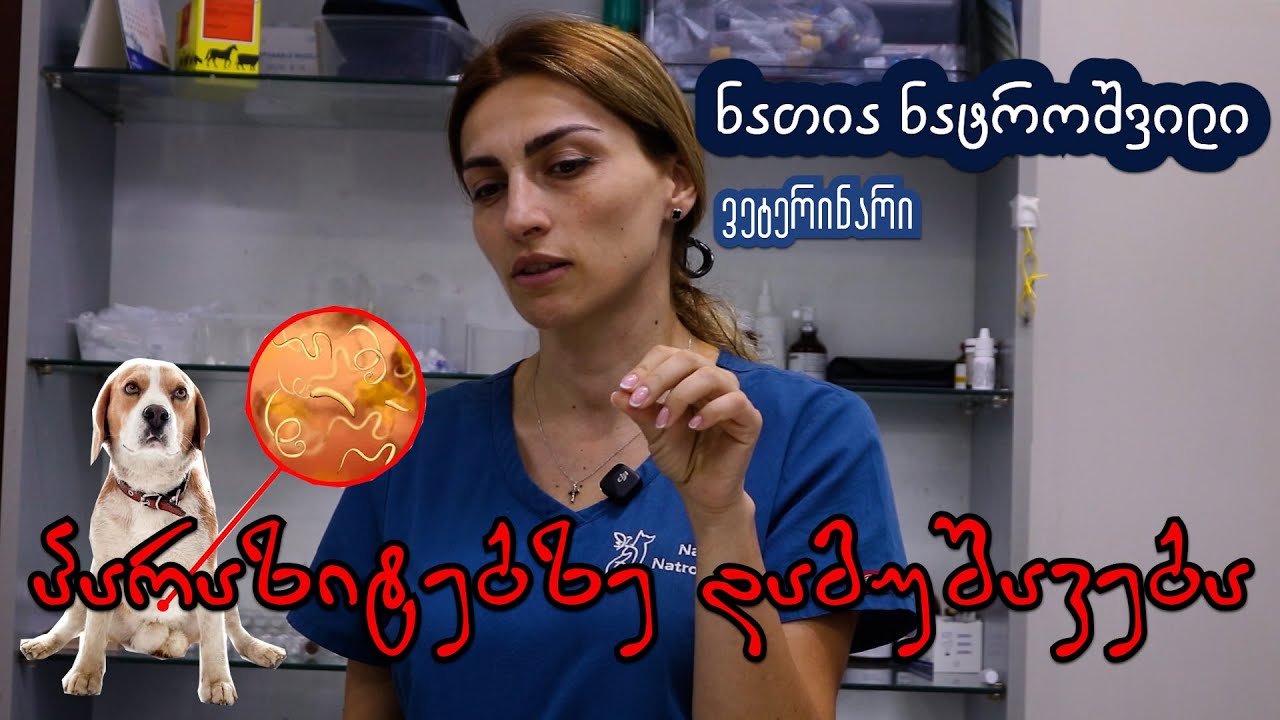 ჭიაზე და რწყილებზე დამუშავება