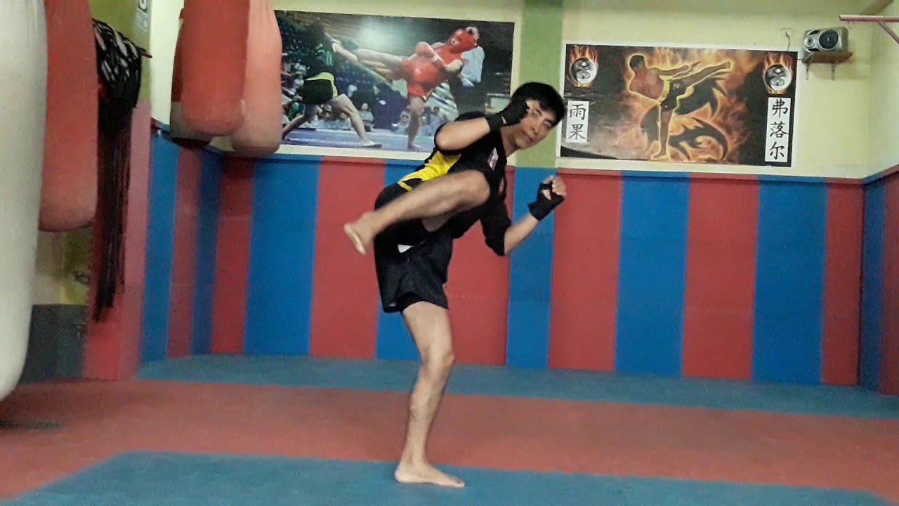 Wushu Sanda pateo básicos