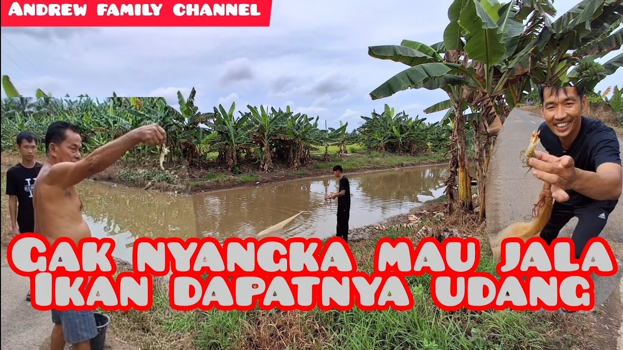 MENJALA IKAN DI SUNGAI DAN GAK NYANGKA DAPATNYA UDANG 