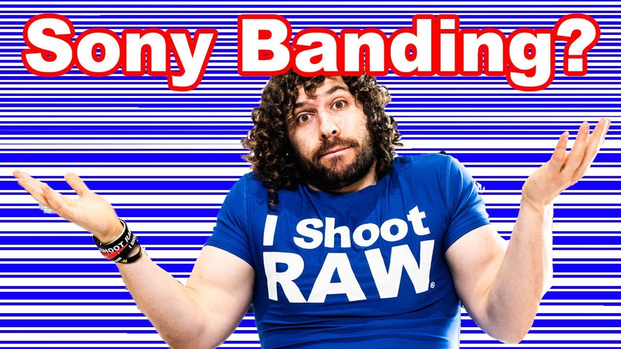 MASSIVE SONY BANDING ISSUE or Photographer Error?