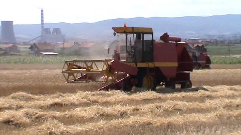 Zmaj 135