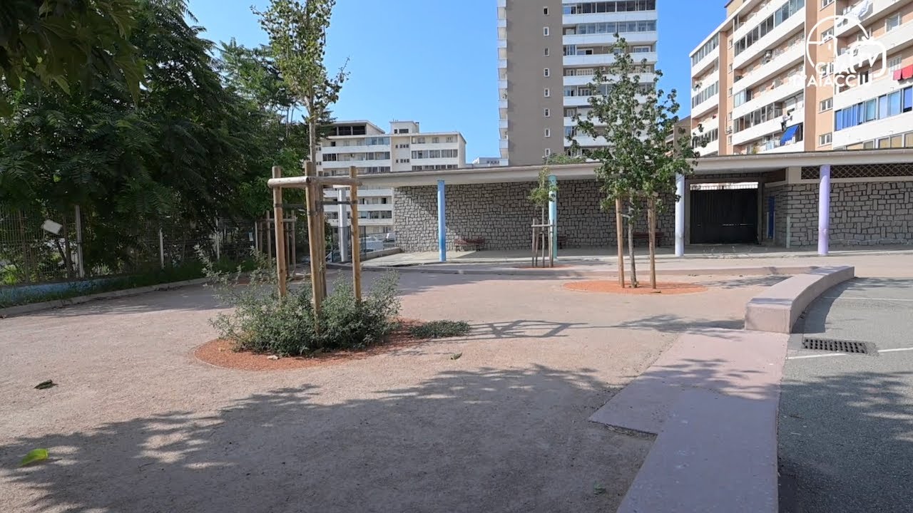 Un été de chantiers pour des écoles plus vertes et plus confortables