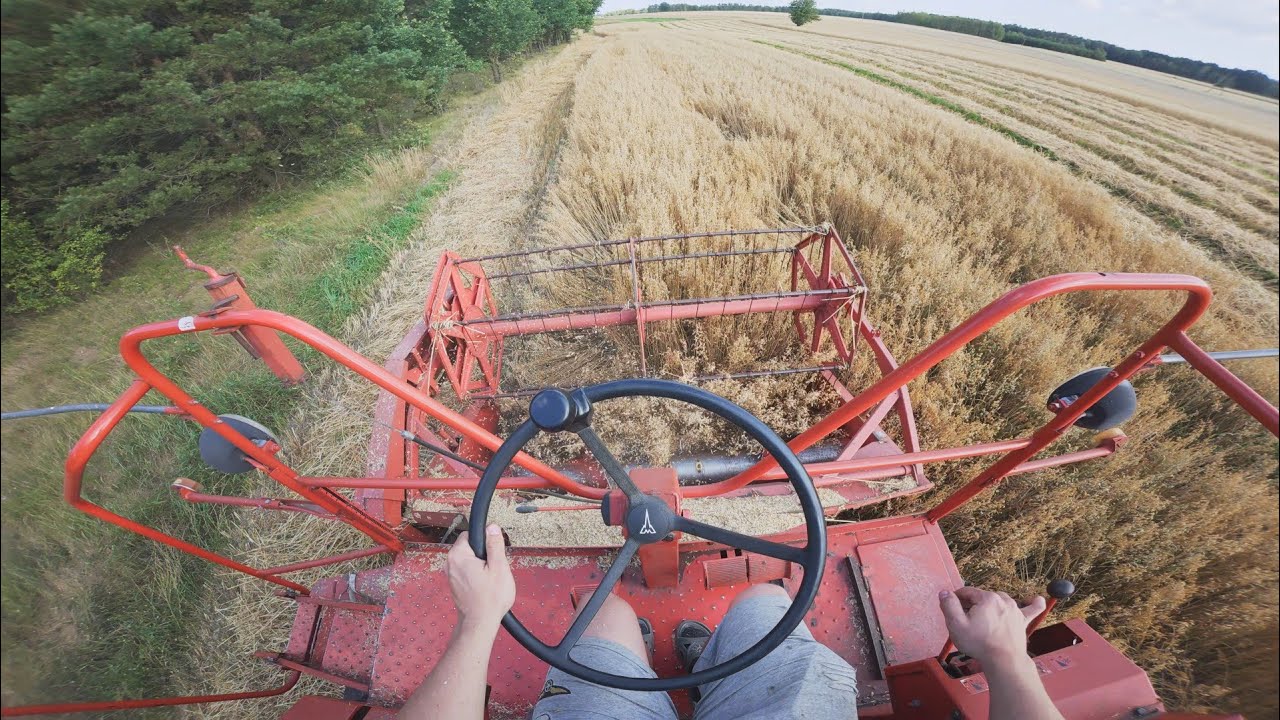 Pierwsze żniwa owsa🌾 2025!🌾