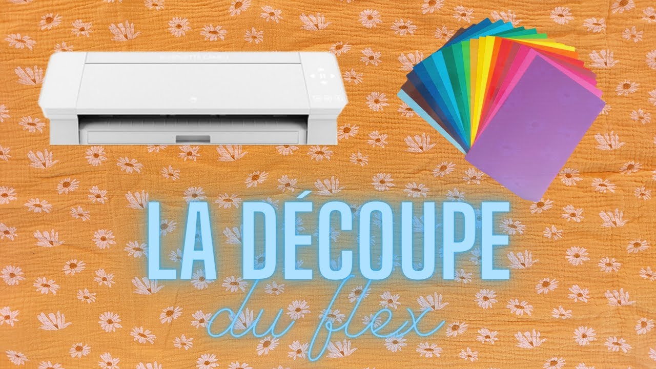 LA DÉCOUPE DU FLEX, FLOCK AVEC LA SILHOUETTE (Partie 2 : choix du design, réglages, l'échenillage)