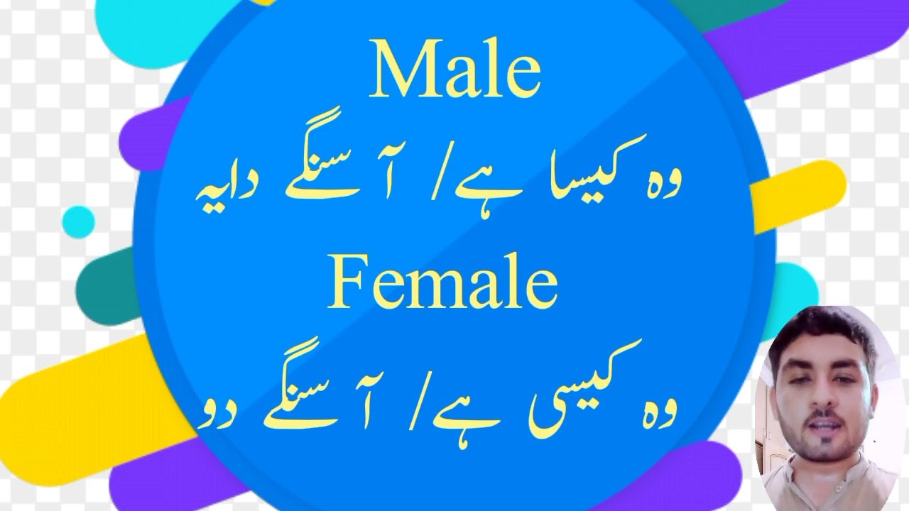 pashto simple sentence, easy sentences in pashto, questioning in pashto, pashto daily conversation