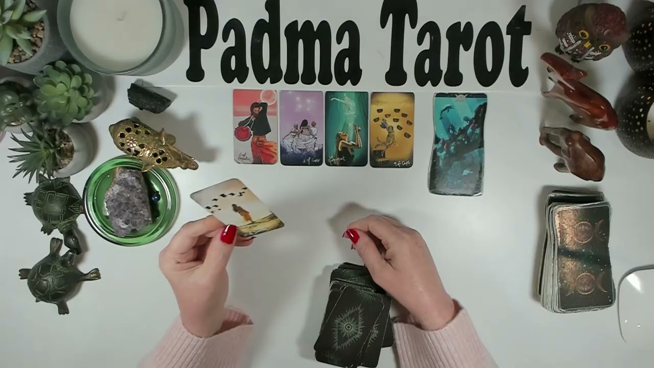 СТРЕЛЕЦ♐️ВАМ НУЖНО ВЫБРАТЬСЯ ИЗ ЭТОЙ КЛЕТКИ! Еженедельное гадание на Таро с 23 февраля по 1 марта...