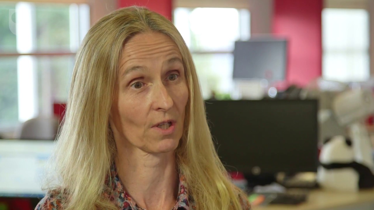 Prof. Helen Sharp - Understanding and Improving Software Development