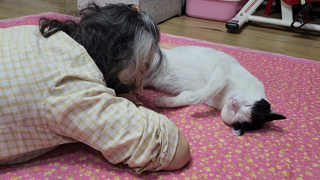 26년 2.24일 오후 눈이 펑펑 내린다           일기 예보 에 의하면 밤 9시 까지 내린다고  했다 눈 내리는 밖을 좋아서 한참 왔다갔다 하드니   할머니 옆을 지킨다