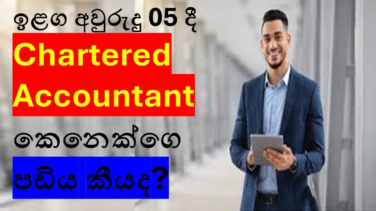 2030 දී Chartered Accountant කෙනෙක්ගෙ පඩිය කීයක් වෙයිද?