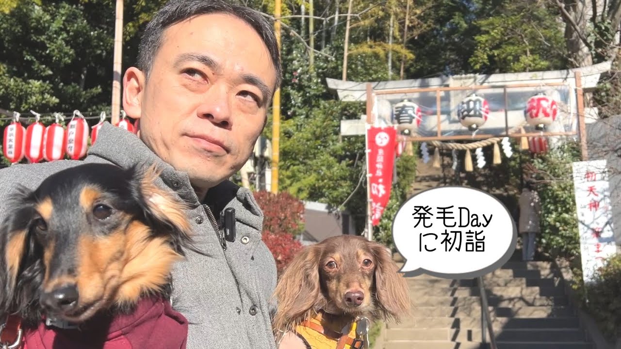 【犬連れ初詣】座間神社の(伊奴寝子社 犬猫神社)に初詣に行きました🐕🐕🐾ペットショップの売れ残りと元保護犬とお出かけ