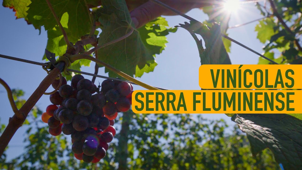 CONHEÇA AS VINÍCOLAS DE TERESÓPOLIS - TESOUROS DA SERRA