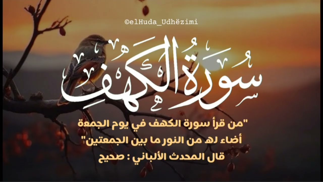 سورة الكهف – نور ما بين الجمعتين – القارئ حمزة بوديب – تلاوة هادئة صوت يريح القلوب|🔴تلاوة مباشرة🔴