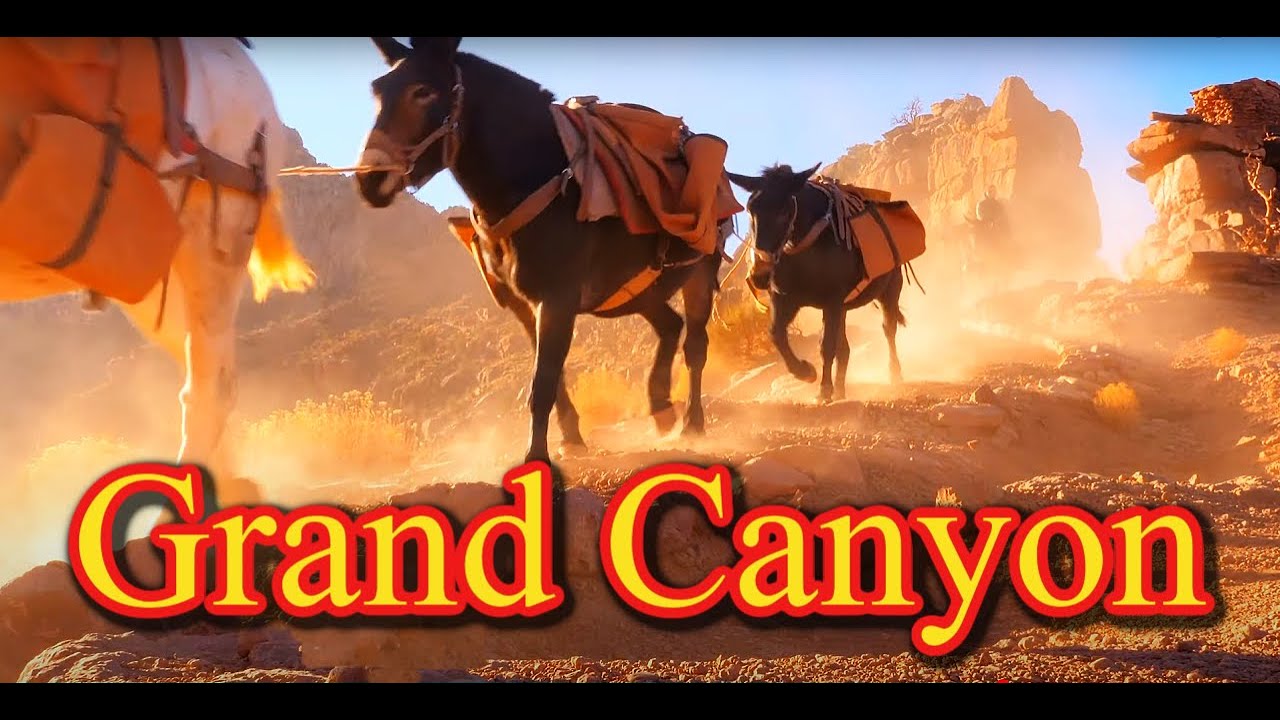 Drive from Las Vegas To The Grand Canyon