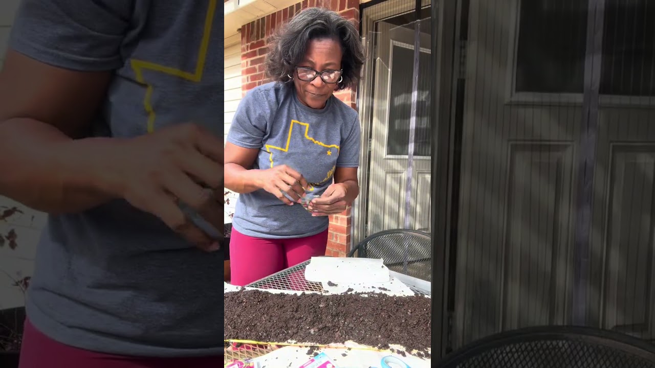 Snail Seed Planting! #diygardening #gardening #seedantimg 