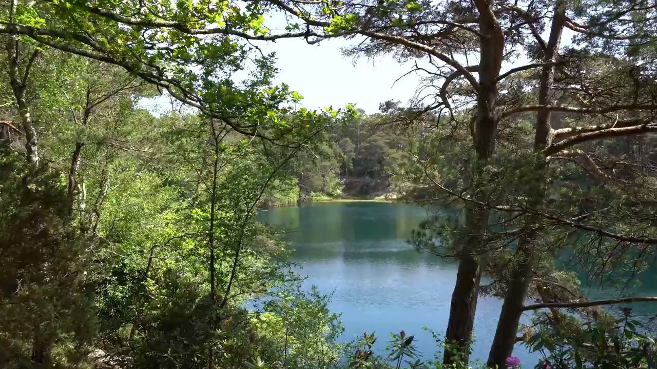 The Blue Pool, Dorset | Over 1 Hour of Nature Escape in Woodland & Water | 4K Ambient Film