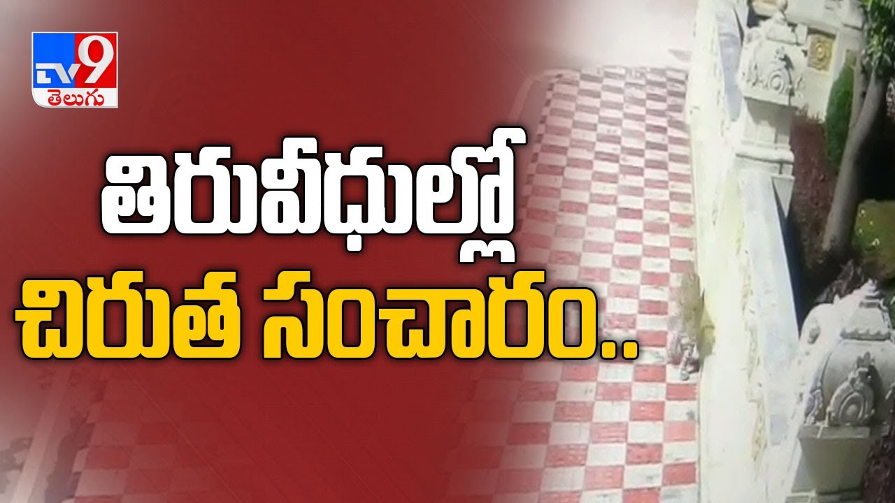 Leopard caught on CCTV at Tirumala - TV9