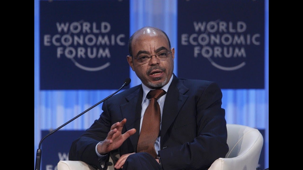 Meles Zenawi at World Economic forum