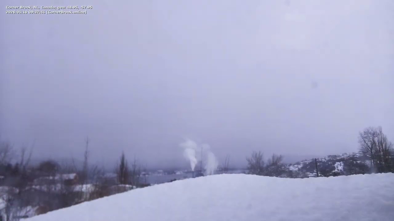 [2026-01-10] Corner Brook NL Mill Cam Daily Timelapse