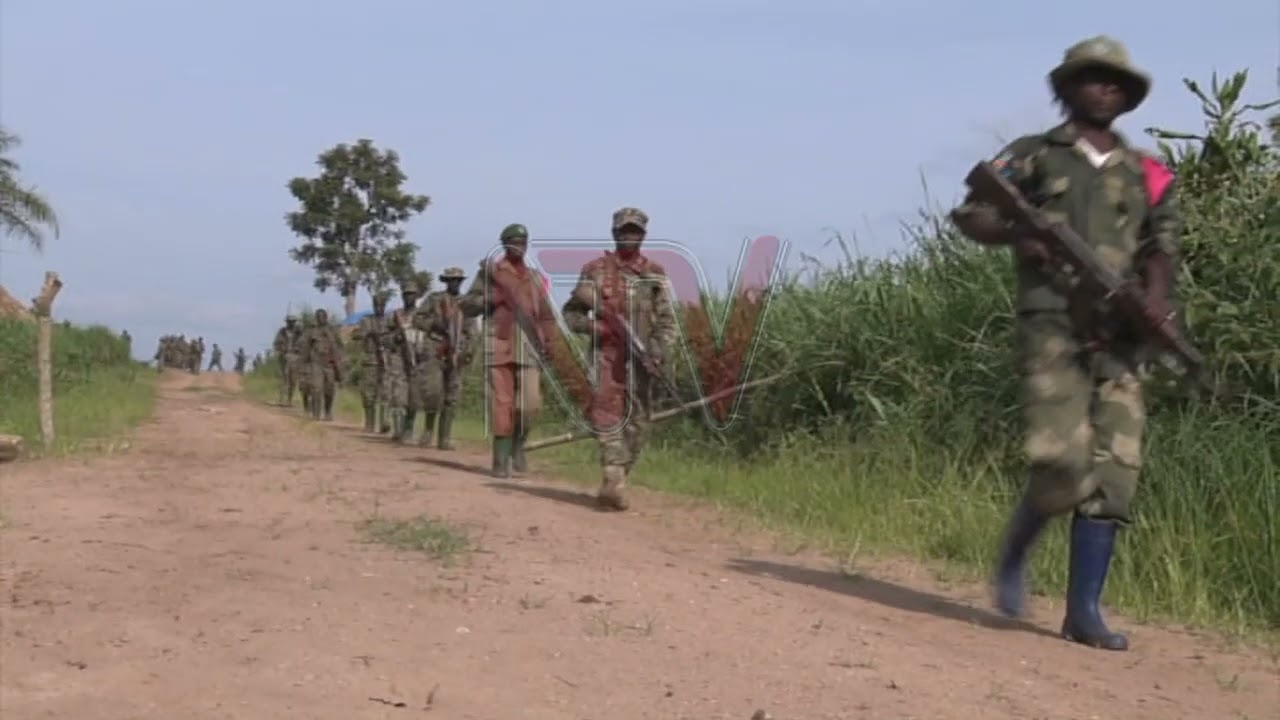 Road works resume in Congo as UPDF clears way