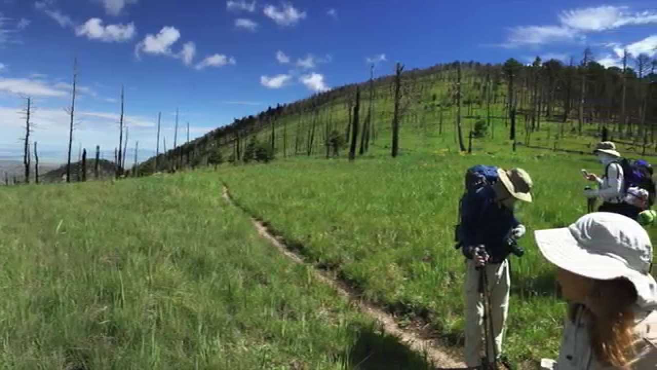 Hike & Backpack Chiricahua Crest Trail, Arizona