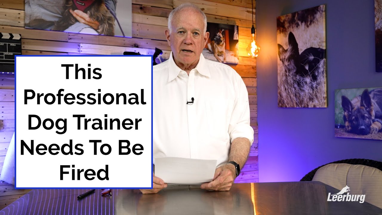 This Professional Dog Trainer Needs To Be Fired