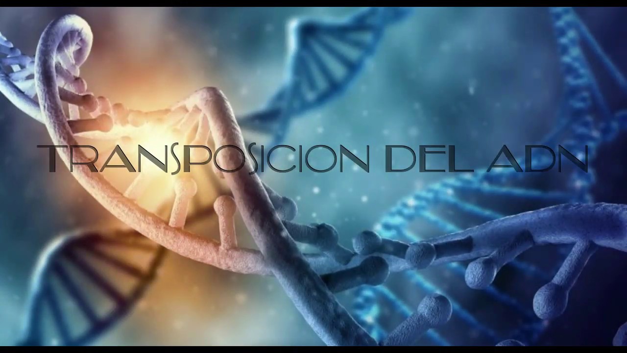 Biolog&iacute;a Molecular - Transposici&oacute;n del ADN