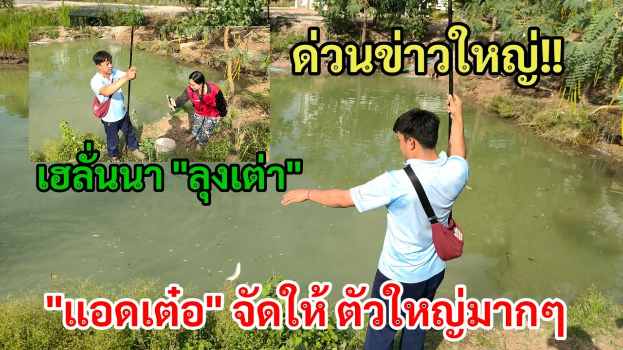 ด่วนข่าวใหญ่!! เฮลั่นนา 
