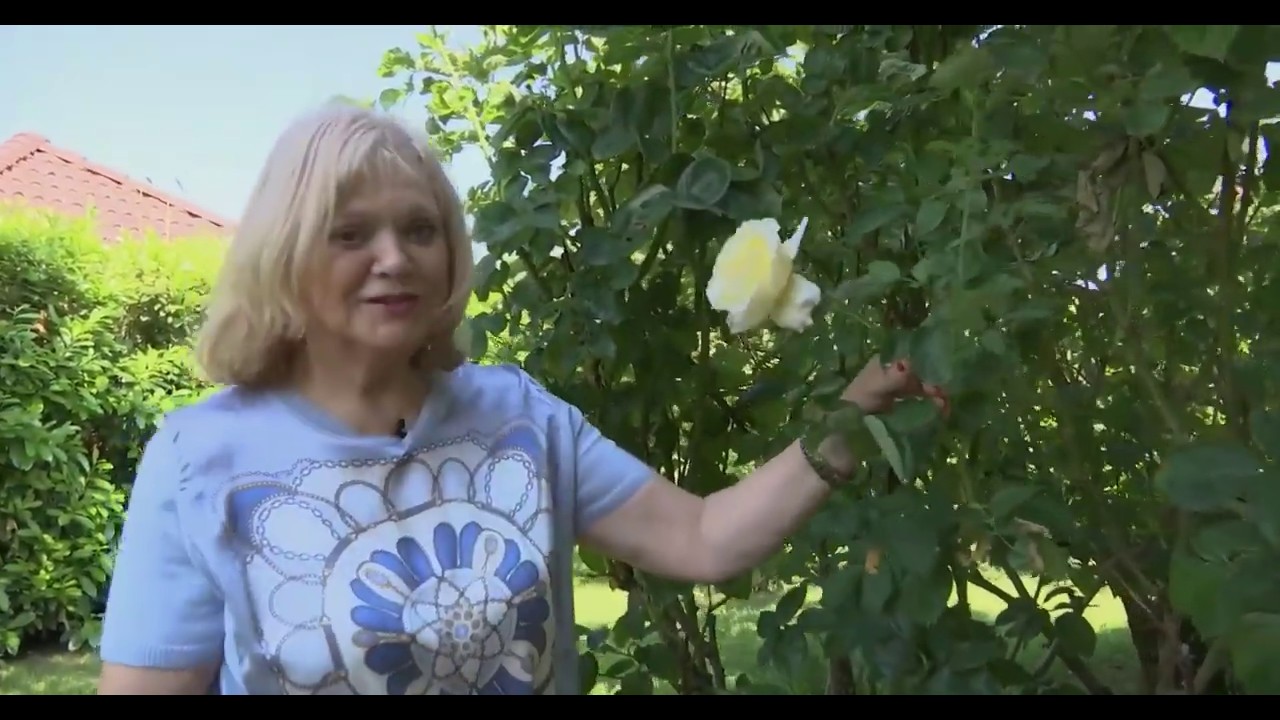 *Marcela Laiferová vo svojej nádhernej záhrade