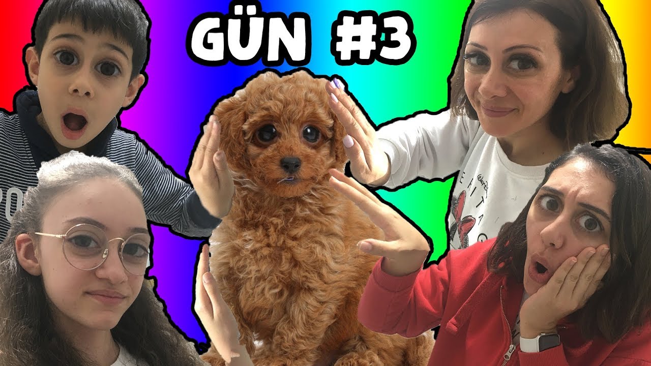 KÖPEKTEN ELİNİ EN SON ÇEKEN KAZANIR ?! LAST TO LEAVE DOG CAGE WINS $100,000