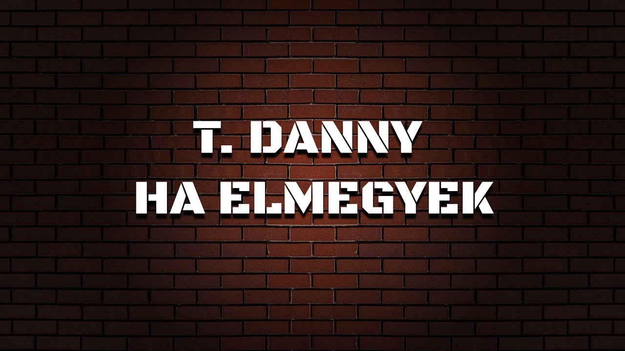 T. DANNY - HA ELMEGYEK | KARAOKE
