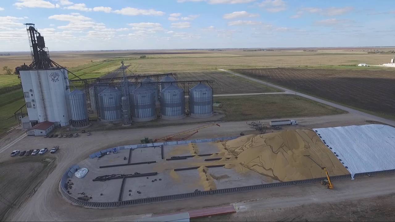 Paterson Grain Terminal