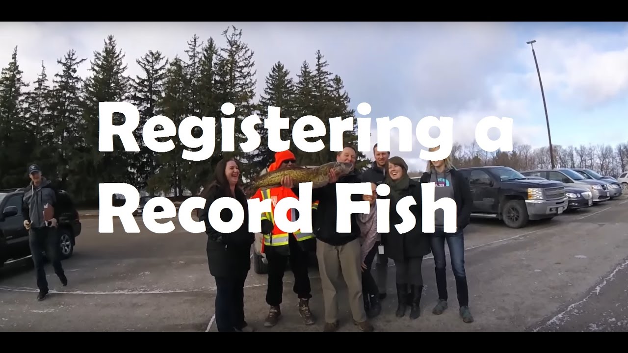 Aftermath....big record burbot