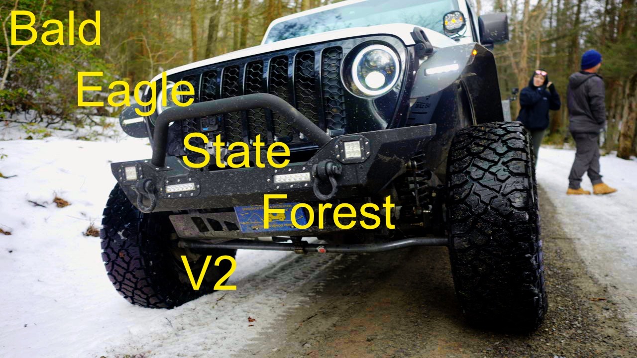 Bald Eagle SF V2
