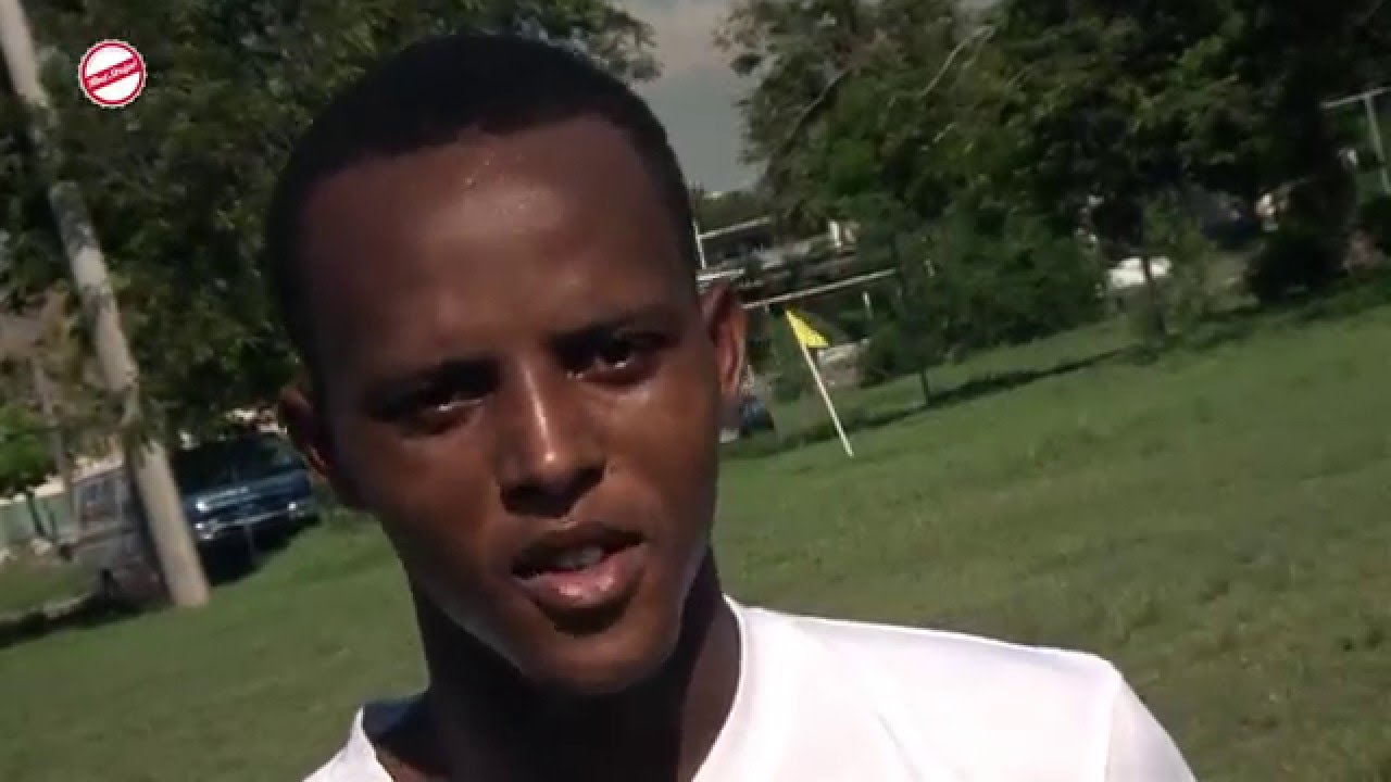 Cavalier  | Spotlight | RSPL