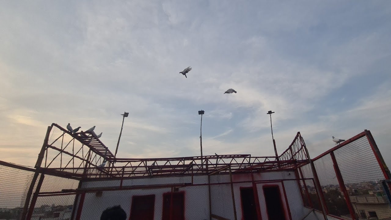 New parwazi chatt par new mahool lights on kqbotqr bazi start