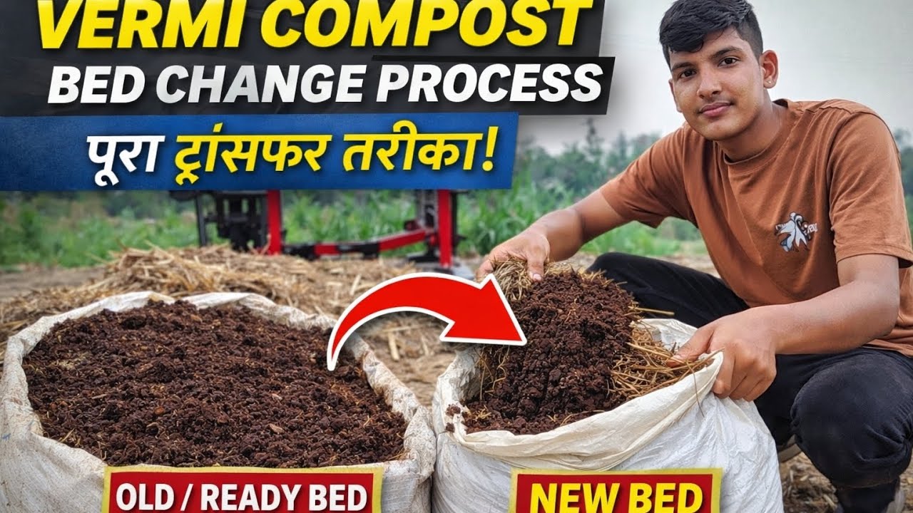 Vermicompost Bet Change Process Chalu 