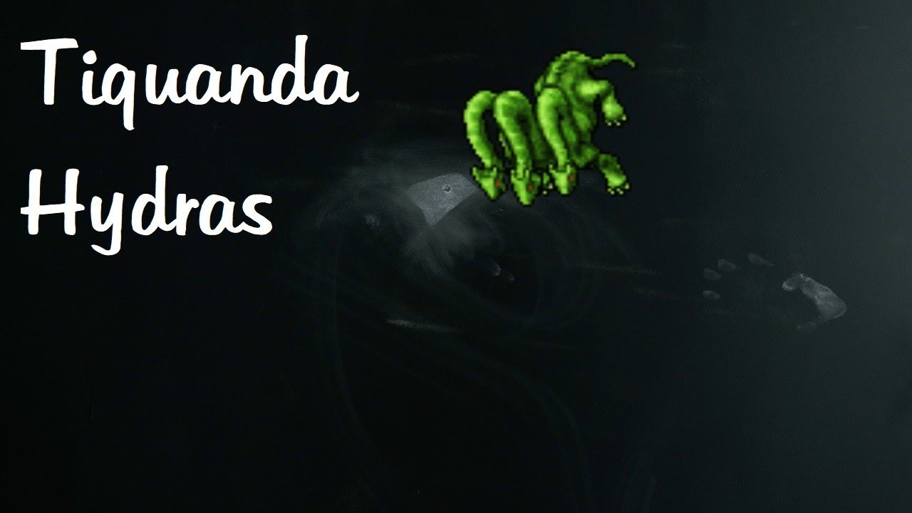 Tibia Spotlight - Tiquanda hydras